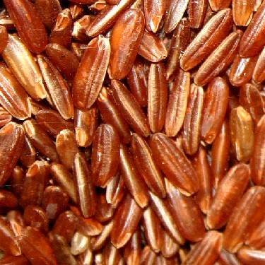 African Rice
